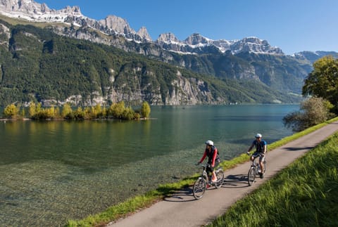 Natural landscape, Cycling