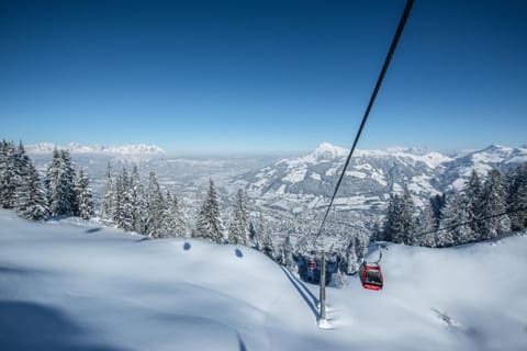 Winter, Skiing