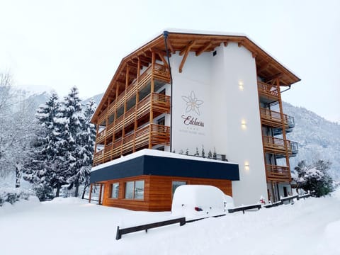 Edelweiss Alpine Nature Hotel in Pinzolo