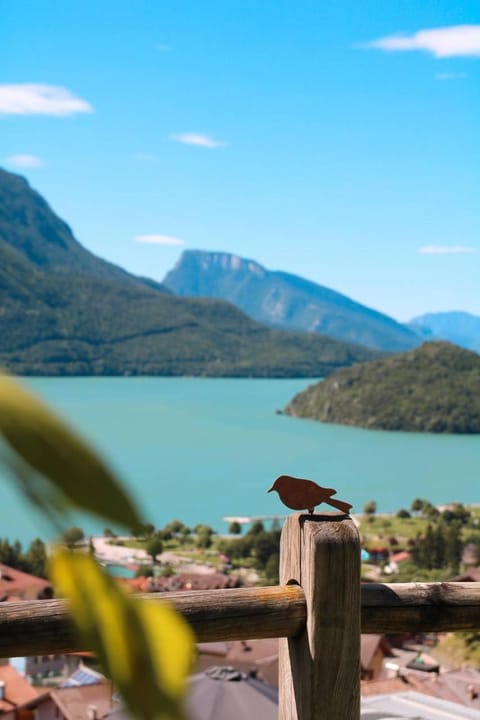 Villa la Dama del Lago Appartement in Molveno