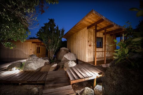 Ecotao Lodge Natur-Lodge in Ko Tao