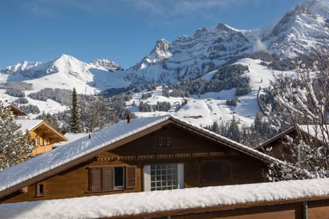 Baldrian C14 Apartment in Adelboden