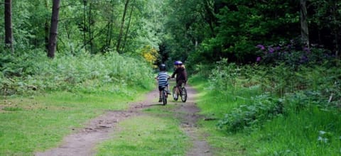 Cycling