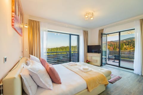 Fabulous Panorama Silver Mountain Apartments Condo in Brasov
