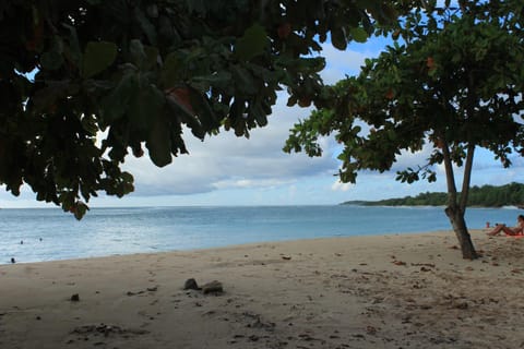 Natural landscape, Beach