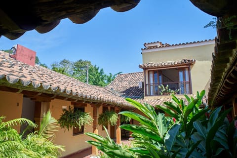 Garden, Garden view, Inner courtyard view