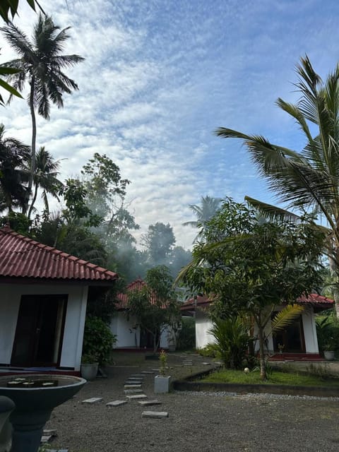 Property building, Natural landscape, Garden