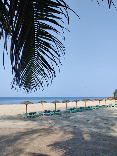 Silent Beach Resort Resort in Mandrem