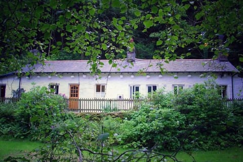 CELYN - SNOWDONIA COTTAGE House in Wales
