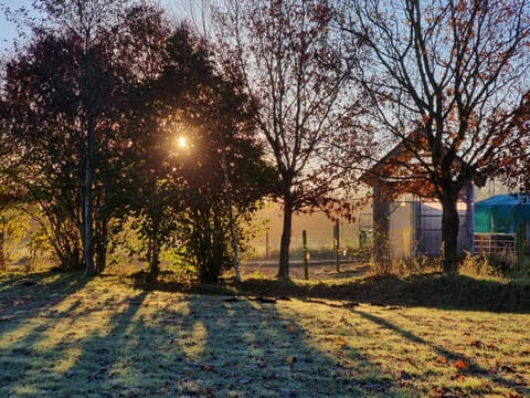 Natural landscape, Winter, Garden, Autumn