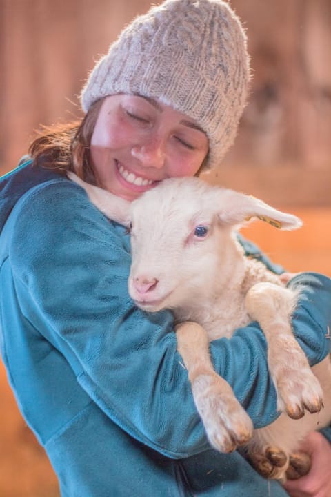 Fat Sheep Farm & Cabins Aufenthalt auf dem Bauernhof in Woodstock