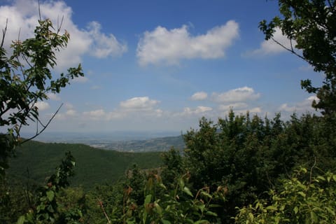 Natural landscape, Mountain view