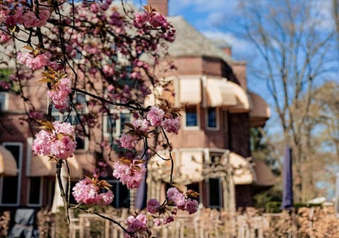 Restaurant/places to eat, Spring, Garden, Balcony/Terrace, Breakfast