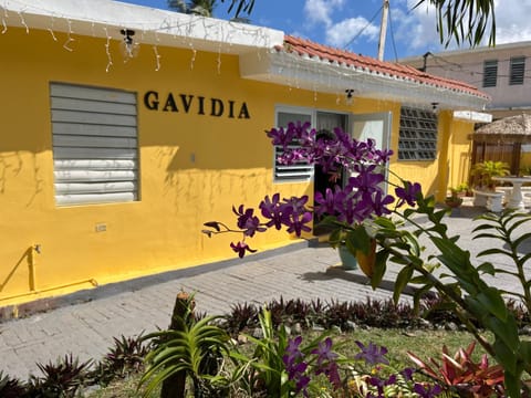 Gavidias Guest House Location de vacances in Puerto Rico