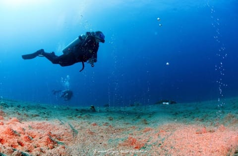 La Tortue Diving Resort Dauin Hostel in Central Visayas