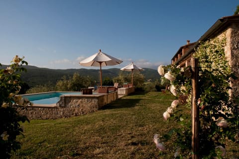 Garden, Swimming pool