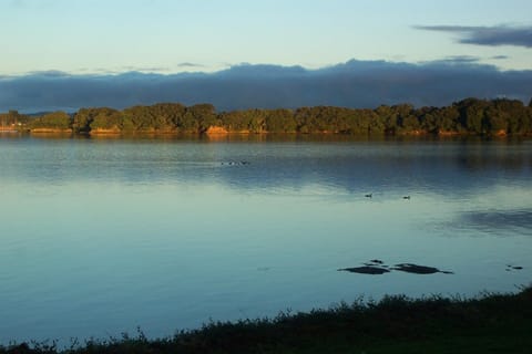Absolute Waterfront Serenity Near Auckland Condo in Waikato
