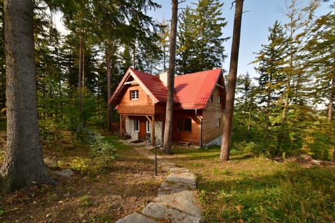 Leśny Domek koło Karpacza - Apartamentuj House in Lower Silesian Voivodeship