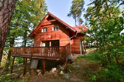 Leśny Domek koło Karpacza - Apartamentuj House in Lower Silesian Voivodeship