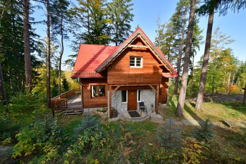 Leśny Domek koło Karpacza - Apartamentuj House in Lower Silesian Voivodeship