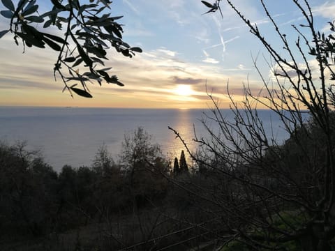 Natural landscape, Sea view, Sunrise