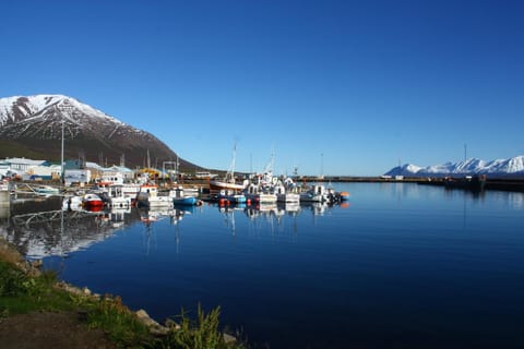 Summer, Fishing, View (from property/room)