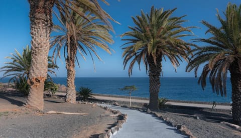 Luxury Apartamento Luz de Mar Complejo Playa Roca Condominio in Costa Teguise
