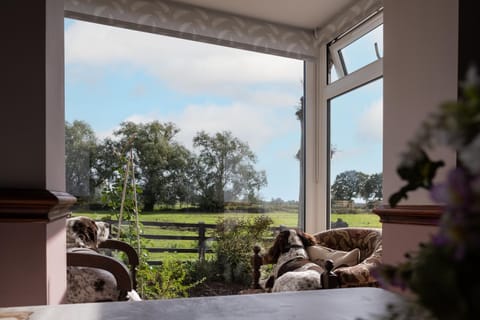 Marsh Farm Farm Stay in Sedgemoor