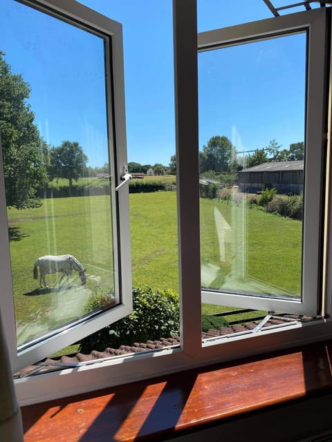 Marsh Farm Farm Stay in Sedgemoor