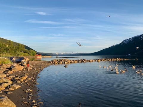 The Red Fjordhouse House in Troms Og Finnmark