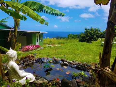 Tiny Cottage Ocean View Stargazing Whale Watching Hamakua House in Big Island