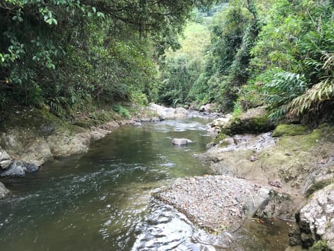 Mirador Las Marcadas Bed and Breakfast in Risaralda