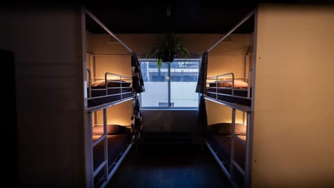 Bed, Photo of the whole room, bunk bed