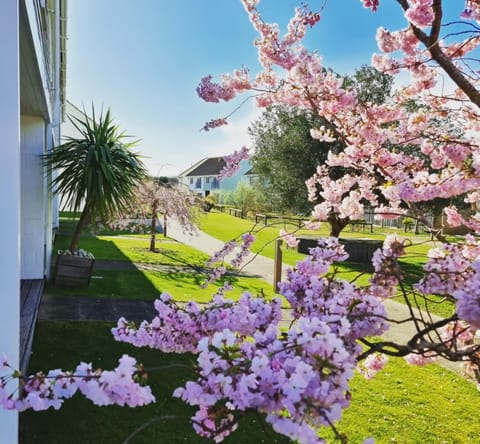 Garden, Garden view