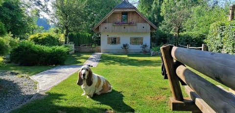 Garden, Pets