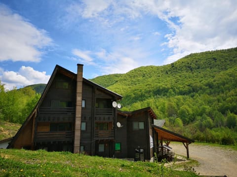 PENSIUNEA IZVORUL BUCURIEI Bed and Breakfast in Prahova, Romania