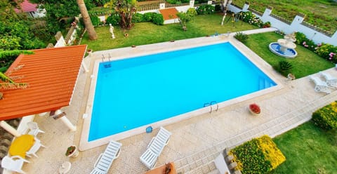 Garden, Garden view, Pool view, Swimming pool, sunbed