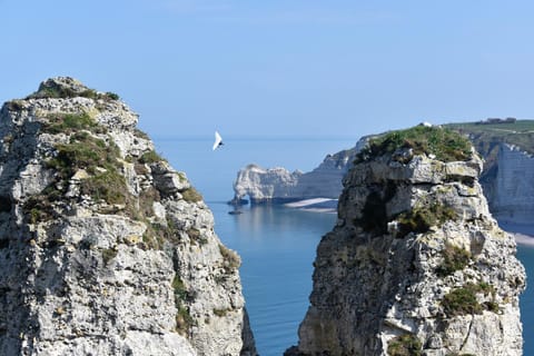 Nearby landmark, Natural landscape, Beach, Hiking