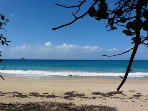 VILLA ALIZÉE APPARTEMENT DE STANDING VUE MER Apartment in Guadeloupe