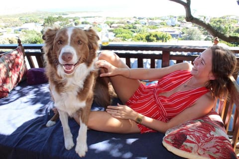 Balcony/Terrace, Pets