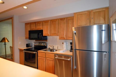 Durant Unit B202, Spacious Condo with Great Views, Excellent Location 2 Blocks to Ski Slopes House in Aspen