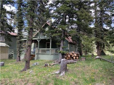 Cozy Bear - Upper Valley With High Speed Wifi House in New Mexico