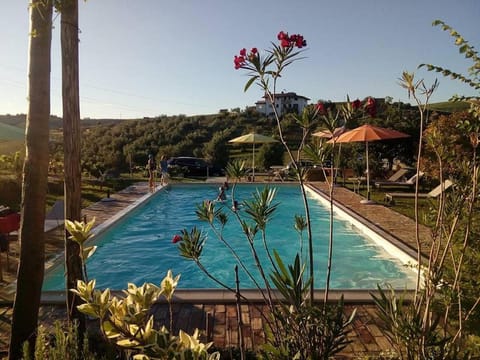 Pool view