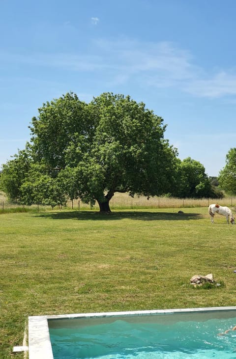 Monte das Cobras - Country House Country House in Evora