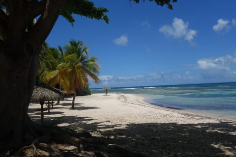 Nearby landmark, Activities, Beach, On site, Sea view