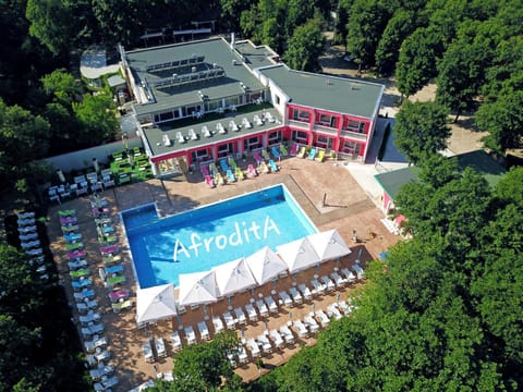 Bird's eye view, Swimming pool