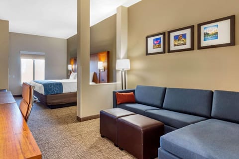 Comfort Suites Greensboro-High Point Hotel in High Point