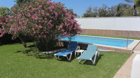 Garden, Swimming pool