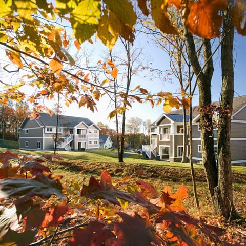 Property building, Natural landscape