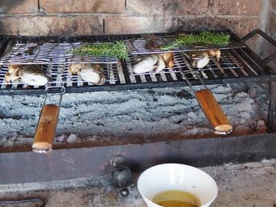 BBQ facilities, Garden